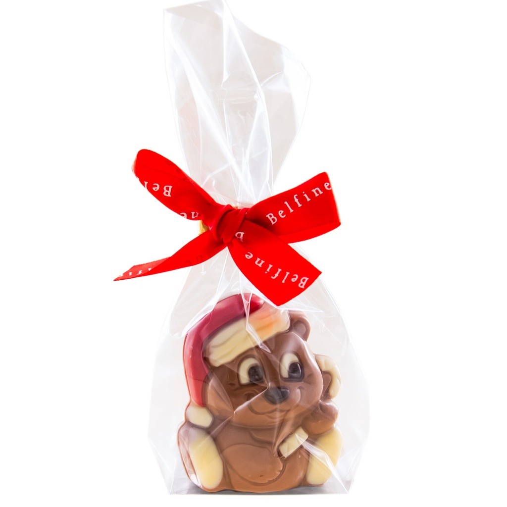 Petit moulage de noël assortis emballé 25gx24