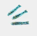 sardine2.webp