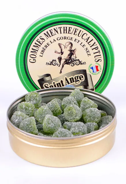 [STA930110] Pastille 50gx10 (Menthe)