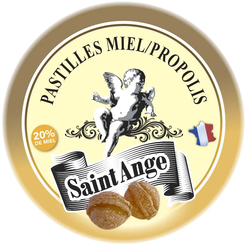 [STA930030] Pastille 50gx10 (Miel propolis)