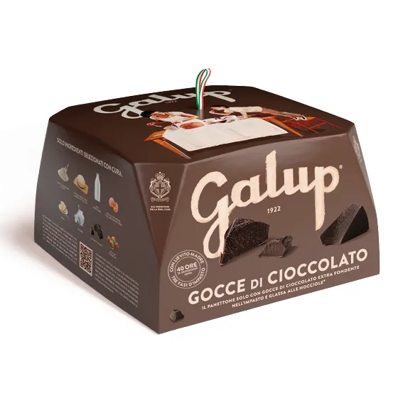 Panettone chocolat