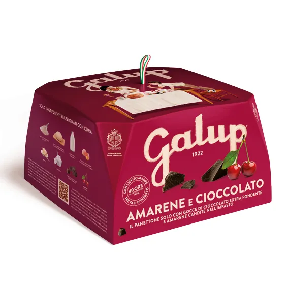 Panettone cerise et chocolat
