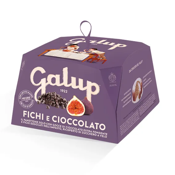 [NV32] Panettone figue et chocolat